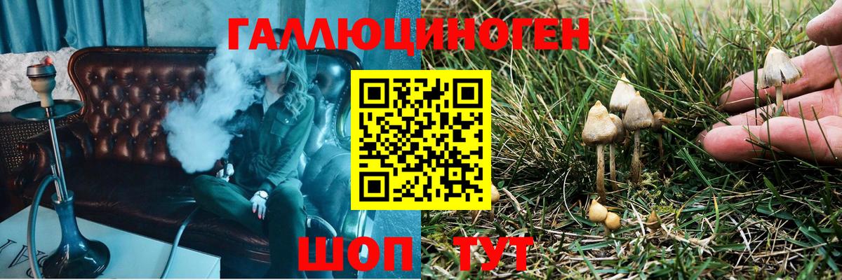 Псилоцибиновые грибы ЛСД Краснокамск